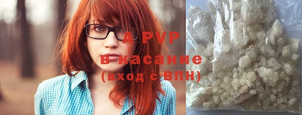 стаф Бугульма