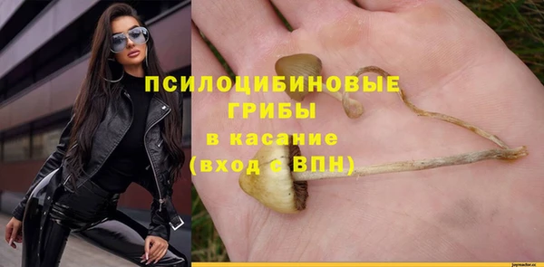 ПСИЛОЦИБИНОВЫЕ ГРИБЫ Бородино