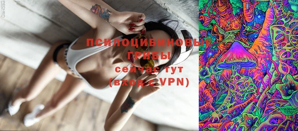 ПСИЛОЦИБИНОВЫЕ ГРИБЫ Бородино