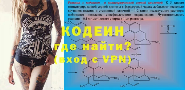 ПСИЛОЦИБИНОВЫЕ ГРИБЫ Бородино