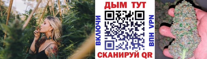 Конопля индика  купить закладку  Ковдор 